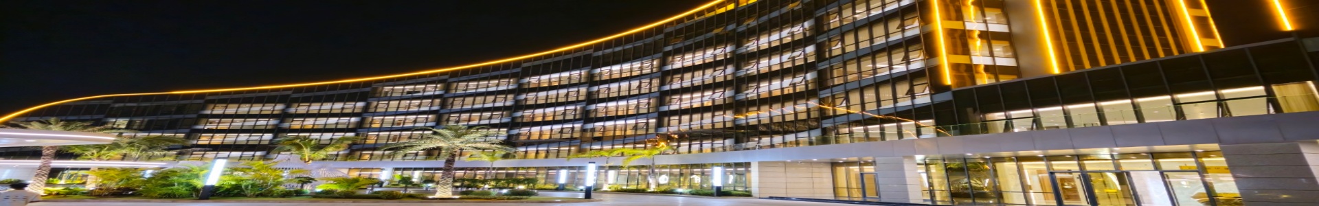 勐拉新世界公司